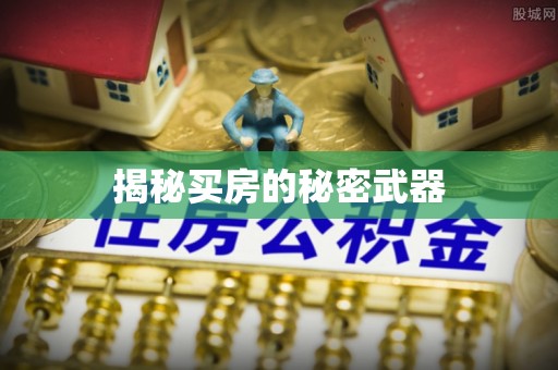 龟山揭秘买房的秘密武器
