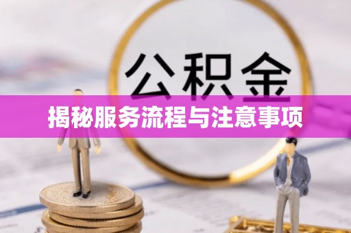 热线揭秘服务流程与注意事项