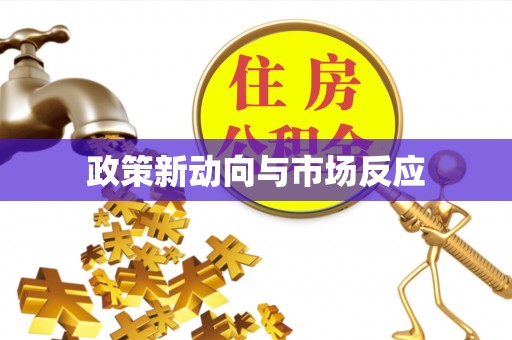 娄星政策新动向与市场反应