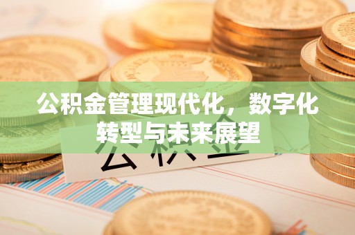 绥阳公积金管理现代化，数字化转型与未来展望