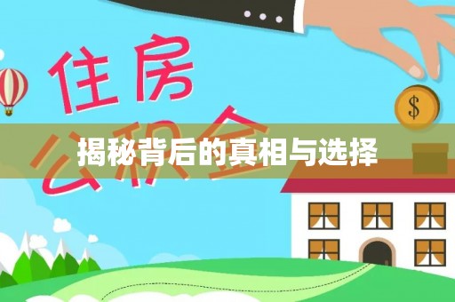 罗田揭秘背后的真相与选择