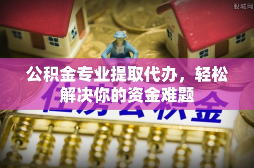 新龙公积金专业提取代办，轻松解决你的资金难题