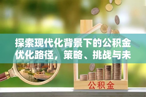 新龙探索现代化背景下的公积金优化路径，策略、挑战与未来展望