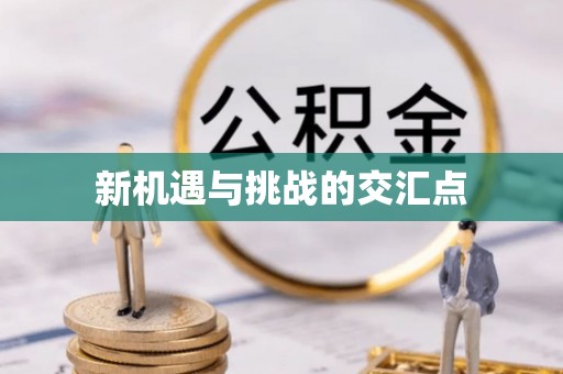 古冶新机遇与挑战的交汇点