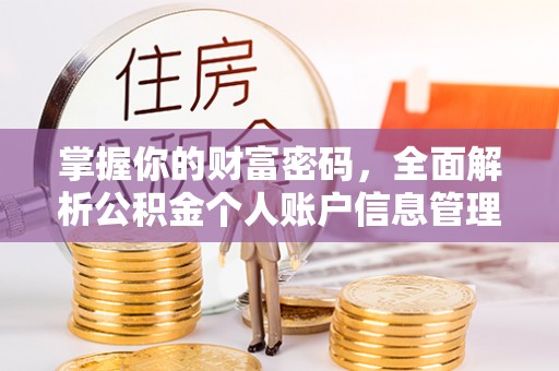 新龙掌握你的财富密码，全面解析公积金个人账户信息管理与优化