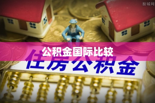 阳新公积金国际比较