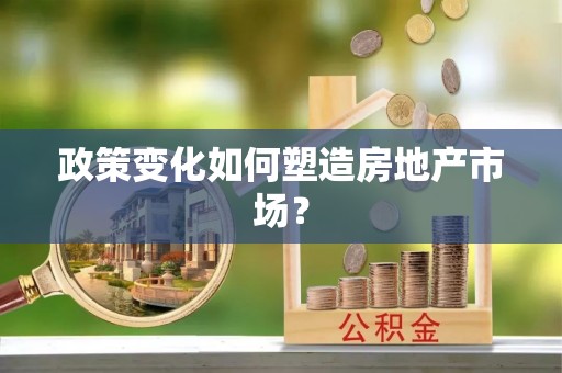 白水政策变化如何塑造房地产市场？