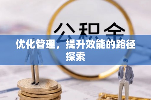 冷水江优化管理，提升效能的路径探索