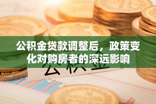 芦山公积金贷款调整后，政策变化对购房者的深远影响