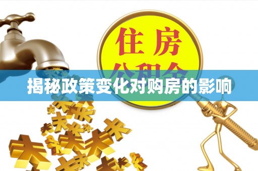 金城揭秘政策变化对购房的影响
