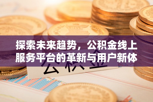 湖滨探索未来趋势，公积金线上服务平台的革新与用户新体验