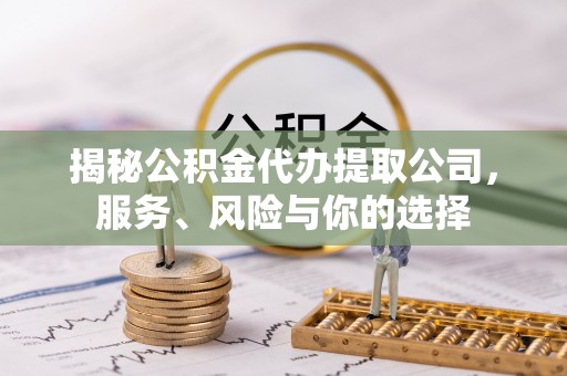 玉树揭秘公积金代办提取公司，服务、风险与你的选择