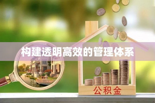 东兰构建透明高效的管理体系