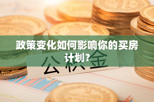 五指山政策变化如何影响你的买房计划？