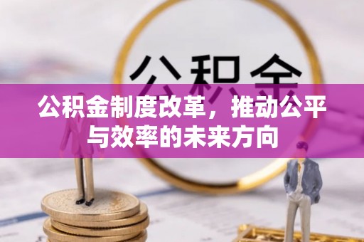 阳谷公积金制度改革，推动公平与效率的未来方向