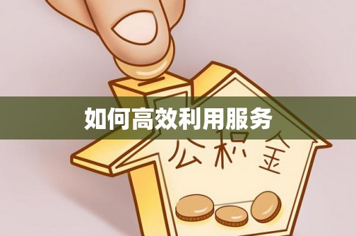 刚察如何高效利用服务