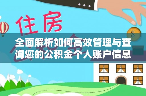 定远全面解析如何高效管理与查询您的公积金个人账户信息