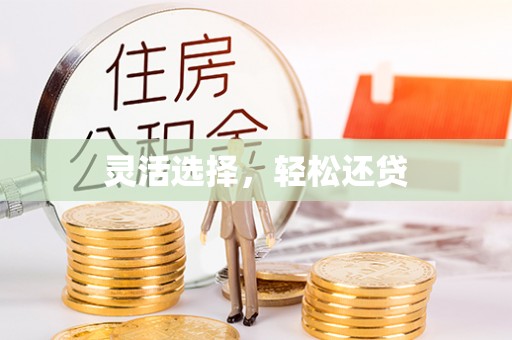 天全灵活选择，轻松还贷