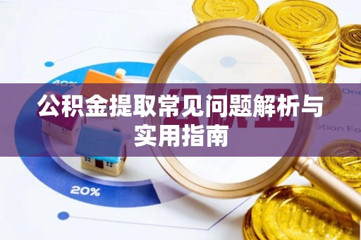 大安公积金提取常见问题解析与实用指南