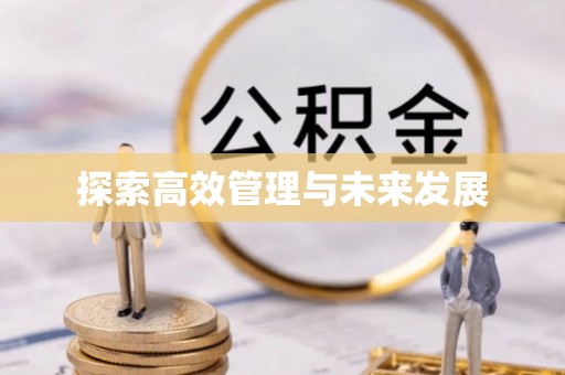 纳溪探索高效管理与未来发展