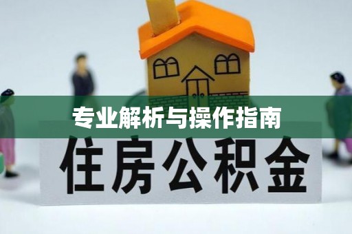 大通专业解析与操作指南