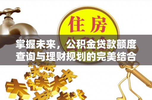 邛崃掌握未来，公积金贷款额度查询与理财规划的完美结合