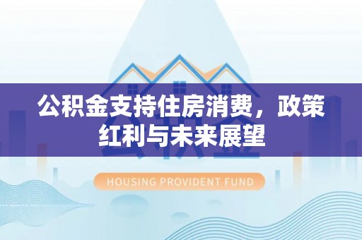 乌海公积金支持住房消费，政策红利与未来展望