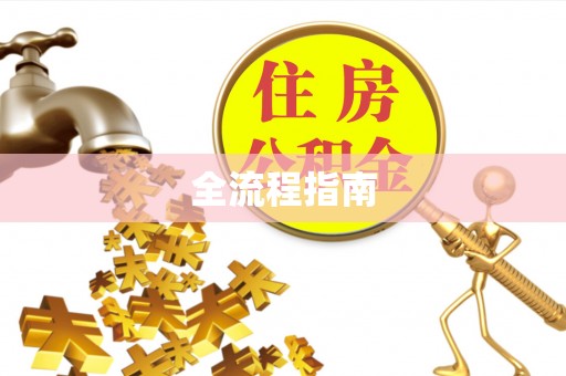 大通全流程指南