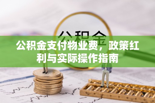 田中公积金支付物业费，政策红利与实际操作指南