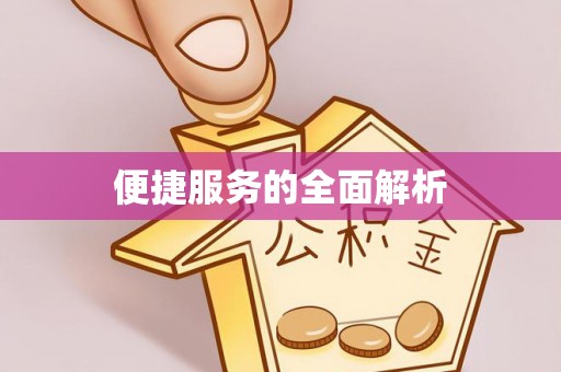 田中便捷服务的全面解析