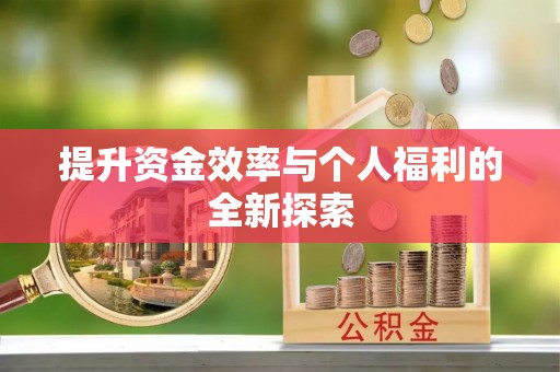 三湾提升资金效率与个人福利的全新探索