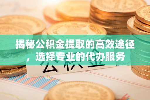 临沂揭秘公积金提取的高效途径，选择专业的代办服务