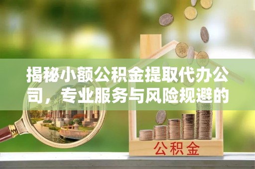 大邑揭秘小额公积金提取代办公司，专业服务与风险规避的平衡艺术