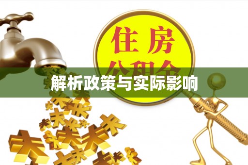 大邑解析政策与实际影响