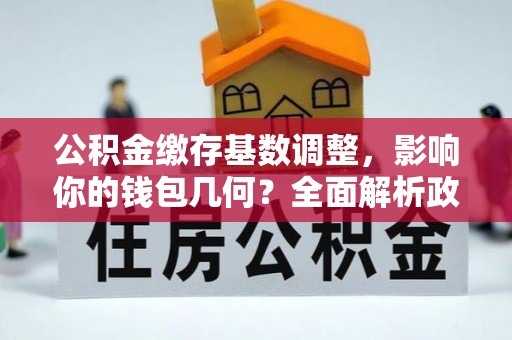 埔里公积金缴存基数调整，影响你的钱包几何？全面解析政策与实际收益