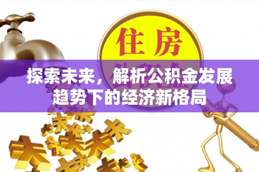 柯坪探索未来，解析公积金发展趋势下的经济新格局
