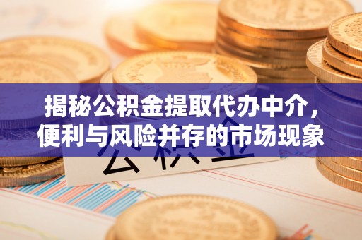 若羌揭秘公积金提取代办中介，便利与风险并存的市场现象