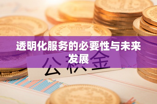 洛阳透明化服务的必要性与未来发展