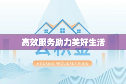 洛阳高效服务助力美好生活