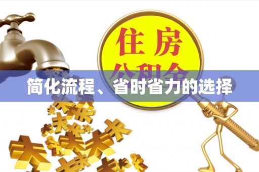 察布查尔锡伯简化流程、省时省力的选择