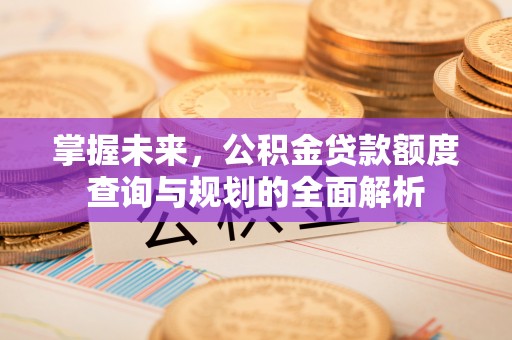 坡头掌握未来，公积金贷款额度查询与规划的全面解析