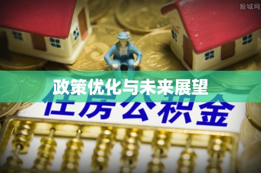 边坝政策优化与未来展望
