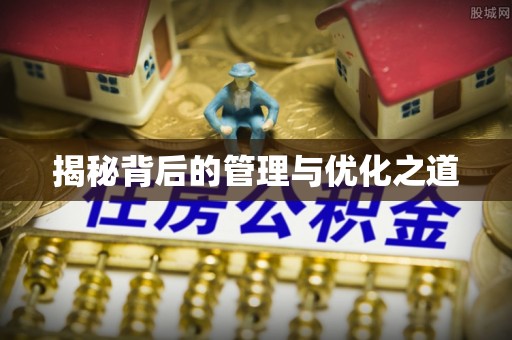边坝揭秘背后的管理与优化之道
