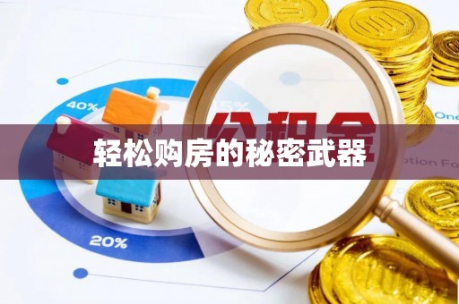 边坝轻松购房的秘密武器
