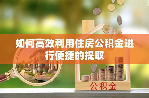 沙溪如何高效利用住房公积金进行便捷的提取