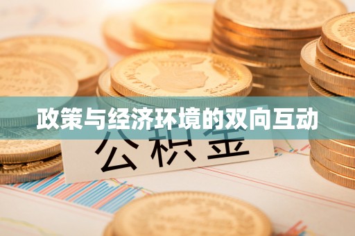 邵东政策与经济环境的双向互动