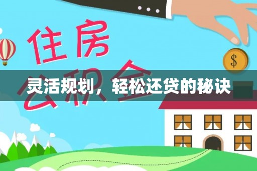 美姑灵活规划，轻松还贷的秘诀