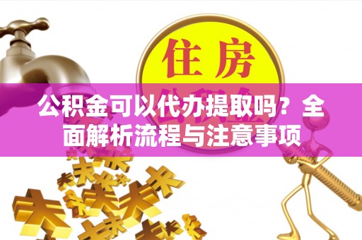 卑南公积金可以代办提取吗？全面解析流程与注意事项