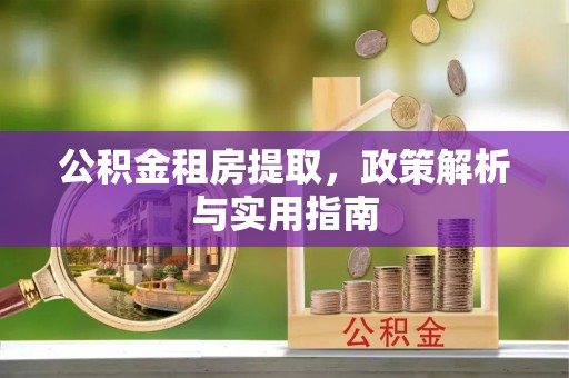 南部公积金租房提取，政策解析与实用指南