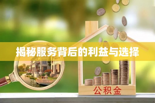 宿豫揭秘服务背后的利益与选择